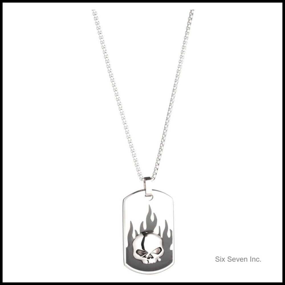 Stainless Steel Dog Tag Necklace Skull Flames Pendant 26 Inch Chain